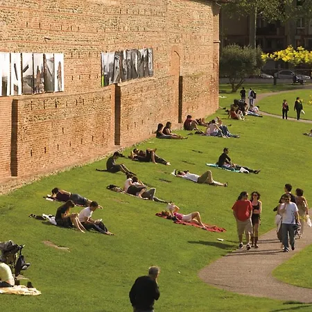 Le Clos Des Violettes טולוז